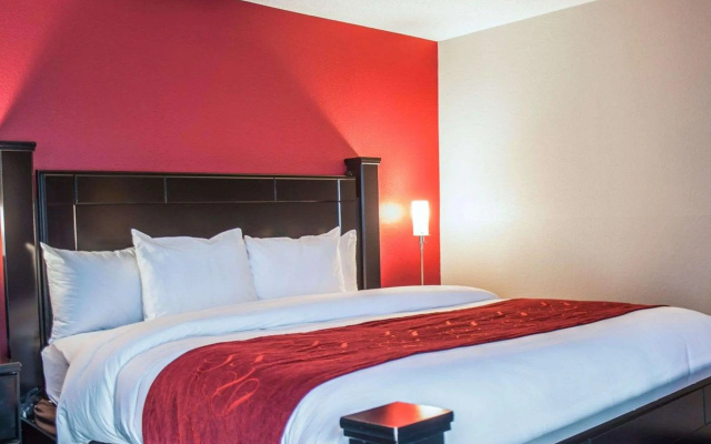 photo 5 of Comfort Suites Nashville Airport - BNA