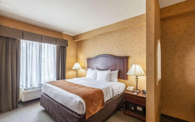 photo 4 of Comfort Suites Alamo - Riverwalk