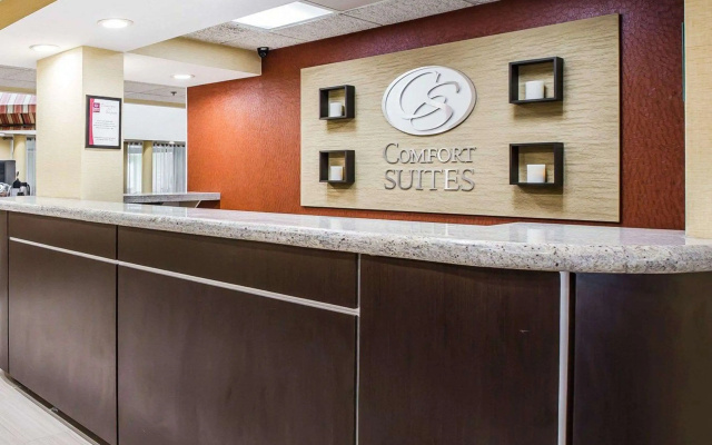 photo 2 of Comfort Suites Anderson-Clemson