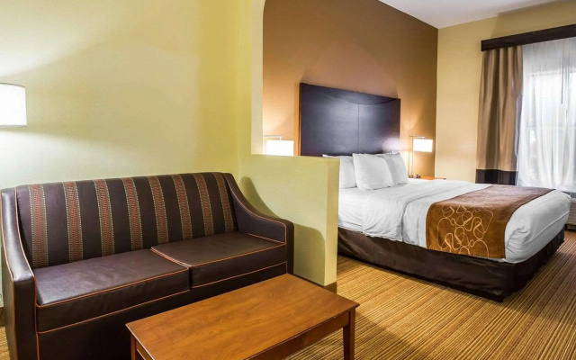 photo 4 of Comfort Suites Anderson-Clemson