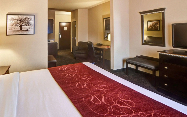 photo 3 of Comfort Suites Arlington - Entertainment District