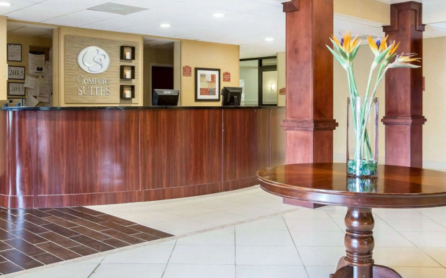 photo 2 of Comfort Suites Atlanta Airport