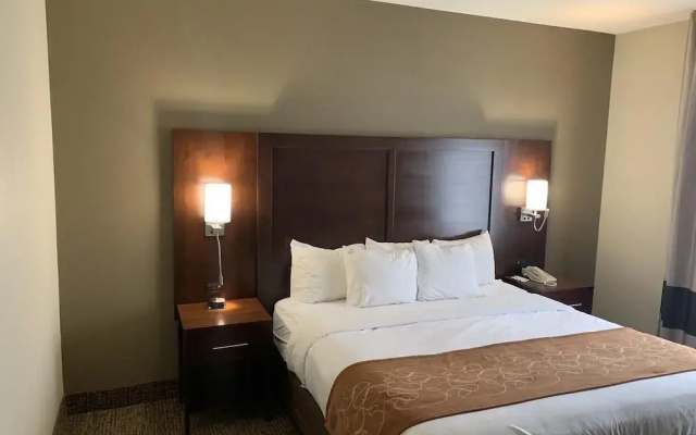 photo 5 of Comfort Suites Auburn