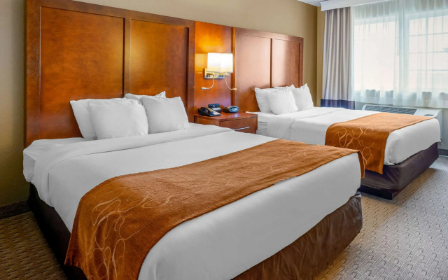 photo 4 of Comfort Suites Burlington