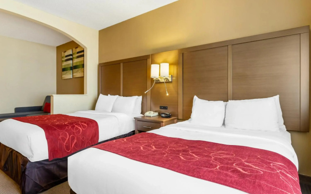 photo 4 of Comfort Suites Bush Intercontinental Airport