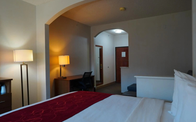 photo 5 of Comfort Suites Bush Intercontinental Airport
