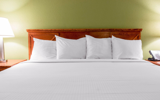 photo 4 of Comfort Suites Canton - Detroit