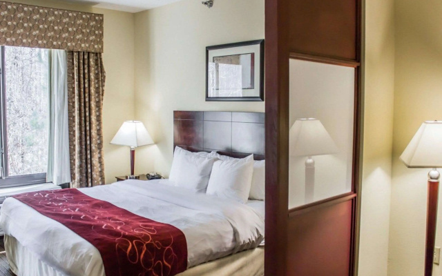 photo 3 of Comfort Suites Clayton - Garner