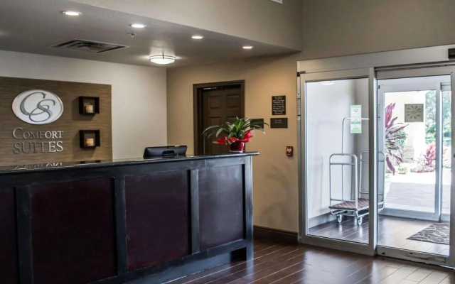 photo 2 of Comfort Suites Clearwater - Dunedin