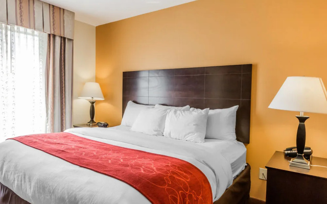 photo 4 of Comfort Suites Clinton