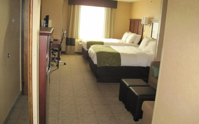 photo 3 of Comfort Suites Columbia - University Area