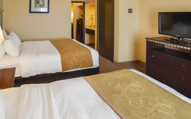 photo 4 of Comfort Suites DFW Airport
