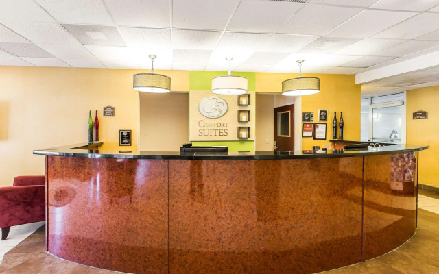 photo 2 of Comfort Suites Forsyth near I-75