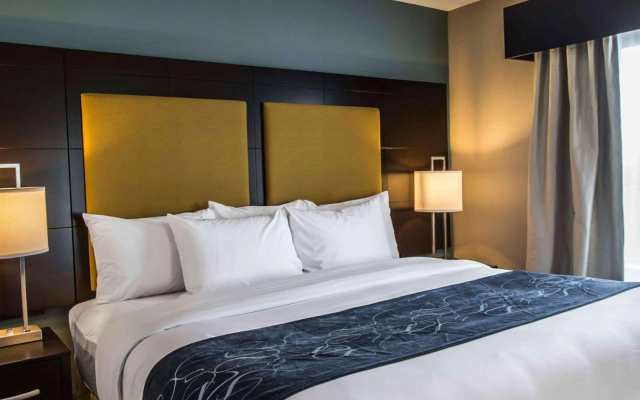 photo 3 of Comfort Suites Fort Lauderdale Airport South & Cruise Port