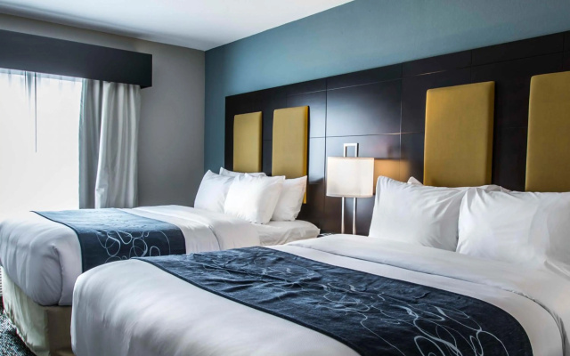 photo 5 of Comfort Suites Fort Lauderdale Airport South & Cruise Port