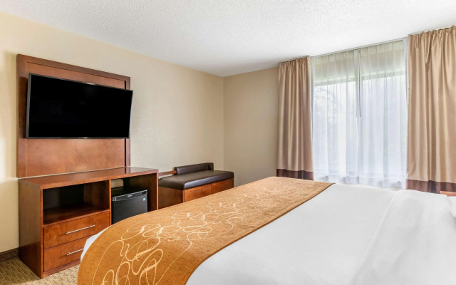 photo 4 of Comfort Suites Grand Rapids North