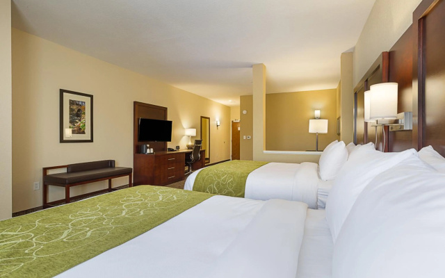 photo 3 of Comfort Suites Piedmont - Greenville South