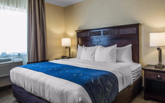 photo 3 of Comfort Suites Lake Geneva East