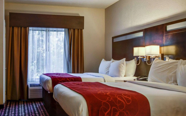 photo 4 of Comfort Suites Northside Hospital Gwinnett