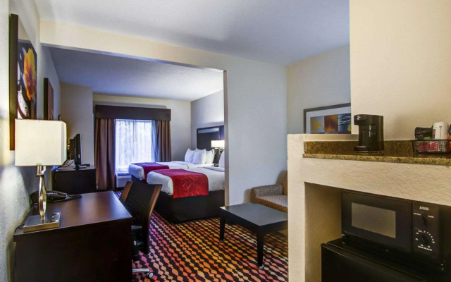 photo 5 of Comfort Suites Northside Hospital Gwinnett