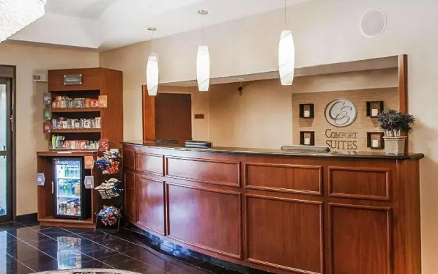 photo 2 of Comfort Suites