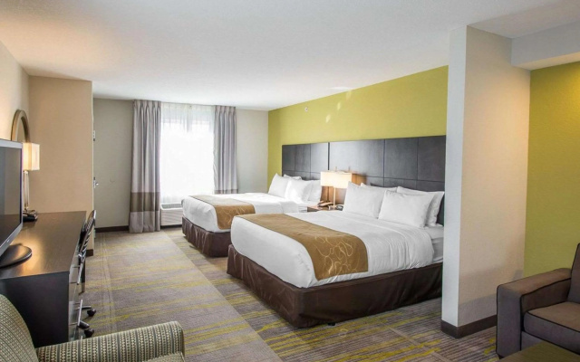 photo 4 of Comfort Suites Miami Airport North