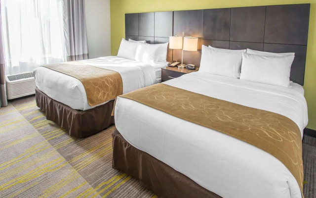 photo 5 of Comfort Suites Miami Airport North