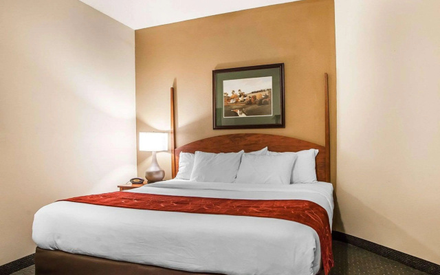 photo 5 of Comfort Suites Milwaukee Airport