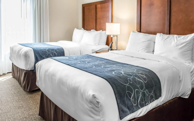photo 4 of Comfort Suites Near Potomac Mills
