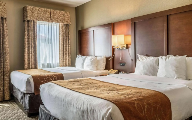 photo 5 of Comfort Suites Near Texas State University