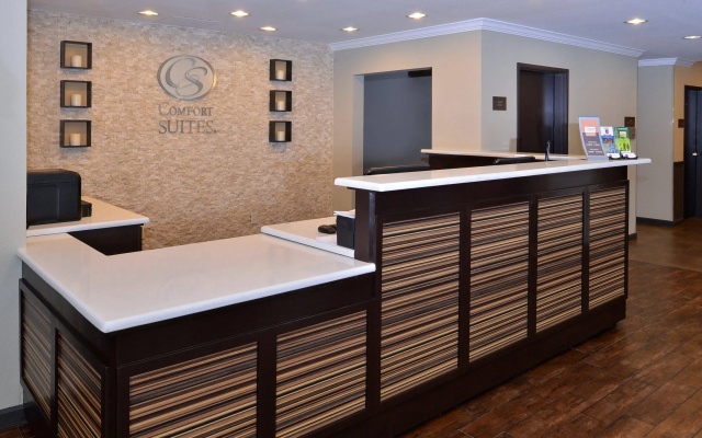 photo 2 of Comfort Suites near Westchase on Beltway 8
