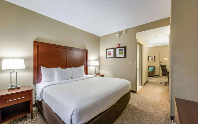 photo 4 of Comfort Suites Chicago O'Hare Airport
