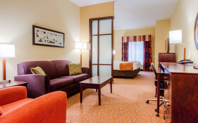 photo 4 of Comfort Suites Pecos