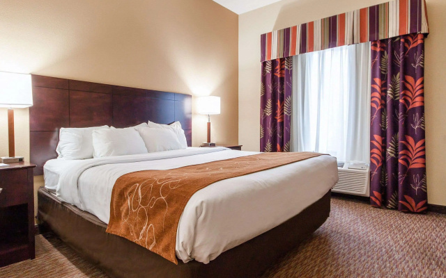 photo 5 of Comfort Suites Pecos