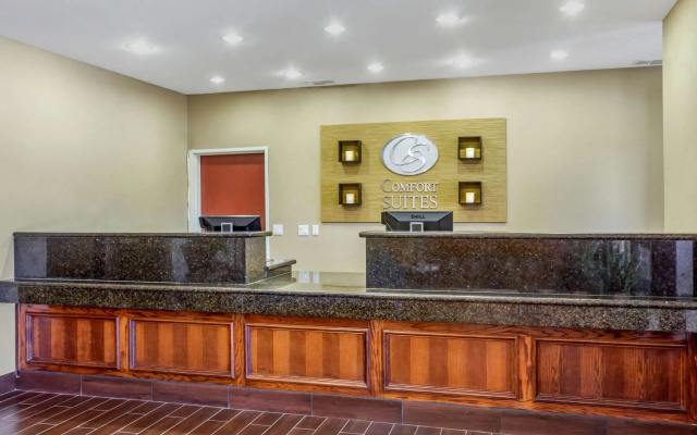 photo 2 of Comfort Suites Plainview