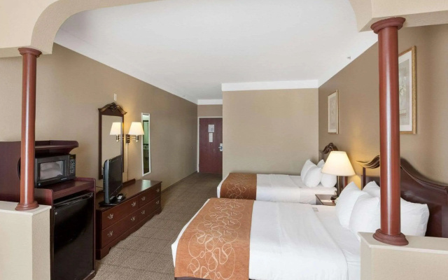 photo 3 of Comfort Suites Plainview