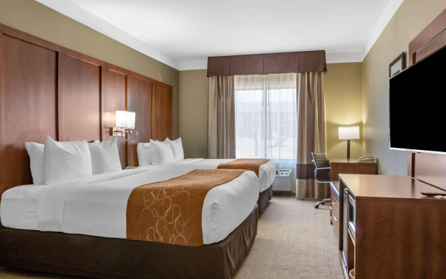 photo 5 of Comfort Suites Plainview