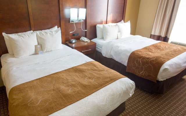 photo 4 of Comfort Suites Port Allen - Baton Rouge