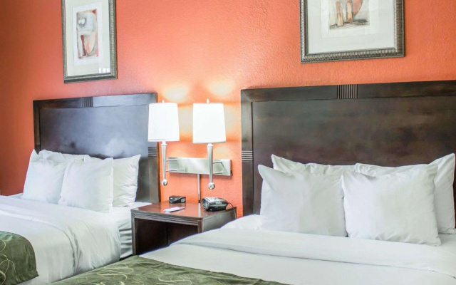 photo 4 of Comfort Suites Regency Park