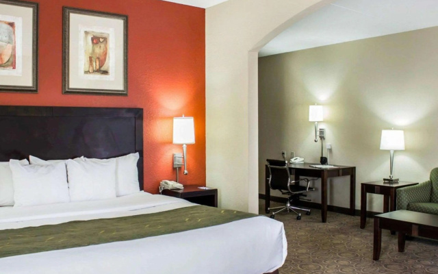 photo 5 of Comfort Suites Regency Park