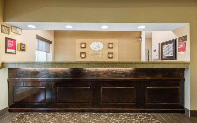 photo 2 of Comfort Suites Rochester Henrietta University Area