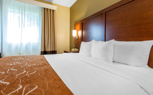 photo 4 of Comfort Suites Rochester Henrietta University Area