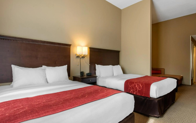 photo 4 of Comfort Suites Sarasota - Siesta Key