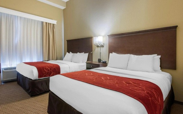 photo 5 of Comfort Suites Sarasota - Siesta Key