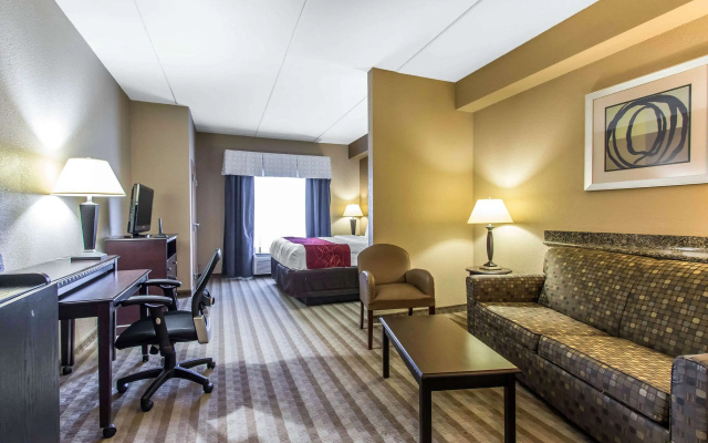 photo 3 of Comfort Suites Smyrna - Nashville Area