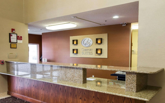 photo 2 of Comfort Suites Southfield/Detroit