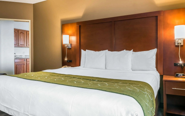 photo 4 of Comfort Suites Springfield I-70