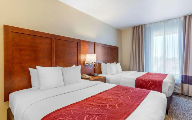 photo 4 of Comfort Suites Glendale - State Farm Stadium Area