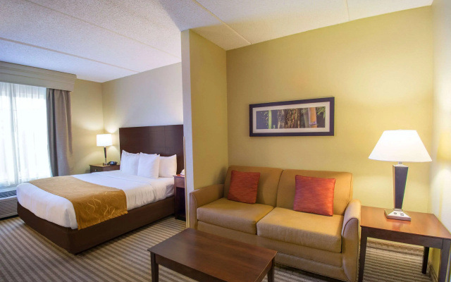 photo 3 of Comfort Suites Near Universal Orlando Resort