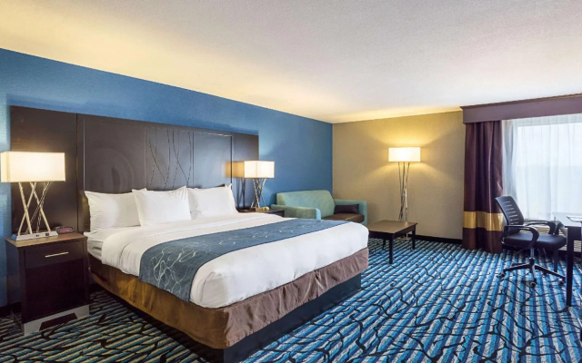 photo 4 of Comfort Suites University